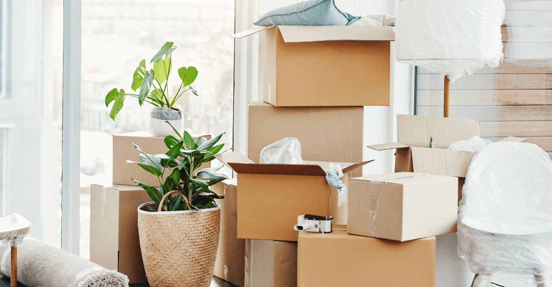 Embrace Eco-Friendly Moving – Reducing Your Carbon Footprint
