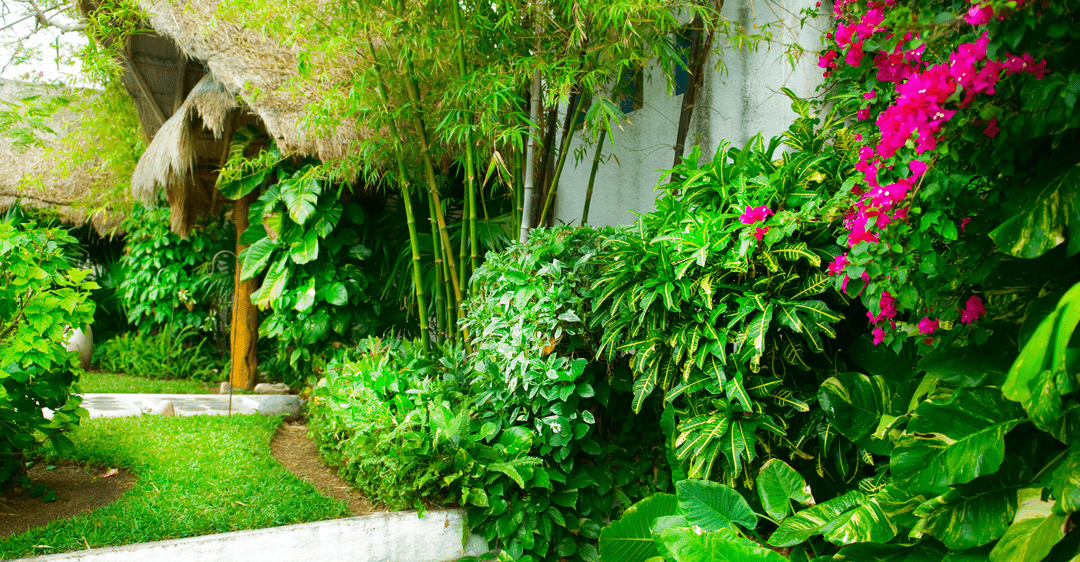 Transform Your Rental Property with Thoughtful Landscaping