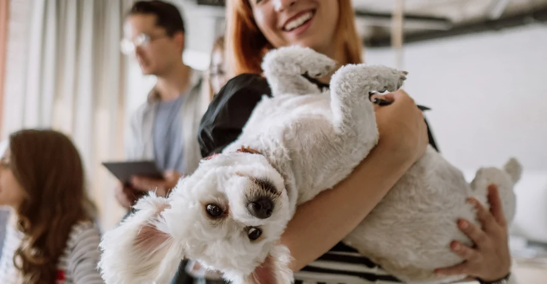 Pet Etiquette in Shared Spaces: What Every Tenant Should Know